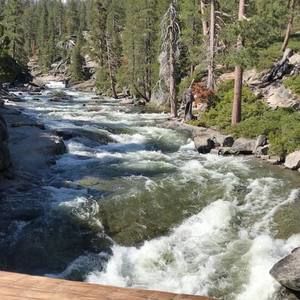 Meet your Posher, Adrian